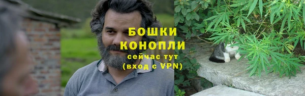 метадон Ельня