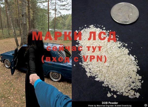 молекула духа Дмитров