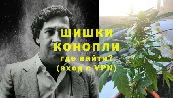 молекула духа Дмитров