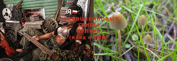 трава Дмитриев