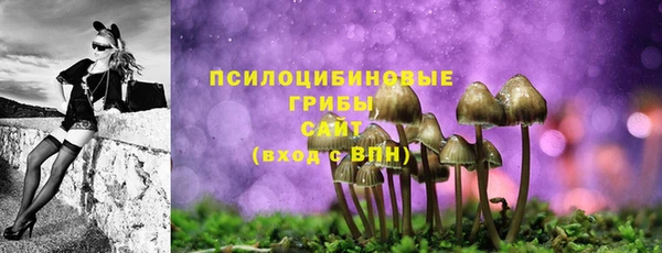 молекула духа Дмитров