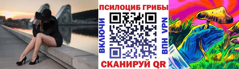 Галлюциногенные грибы мицелий darknet формула Зубцов